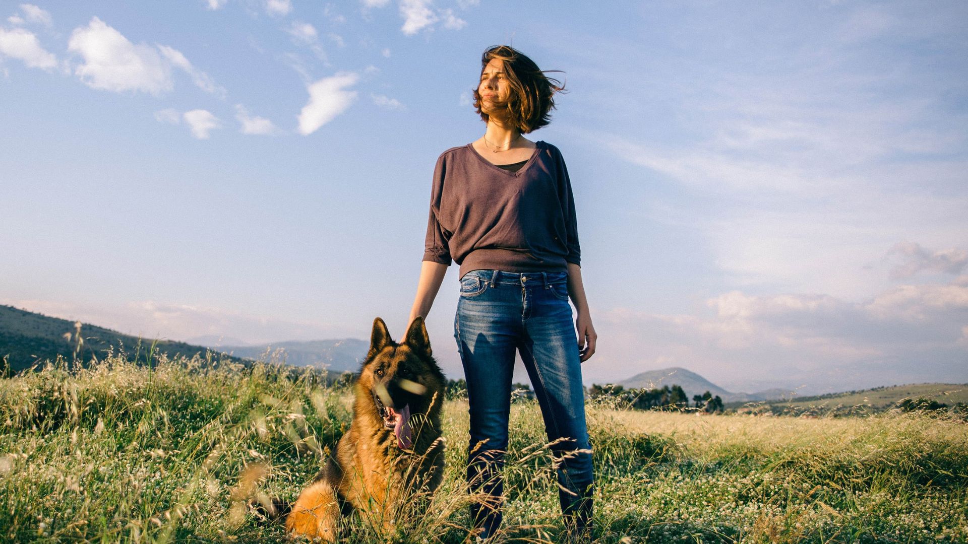 Greenwood, SC 29649 Veterinary Reviews Kinard Animal Hospital