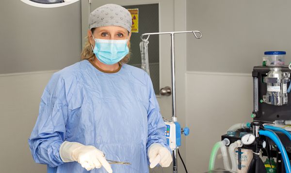 dog in cone at the vet