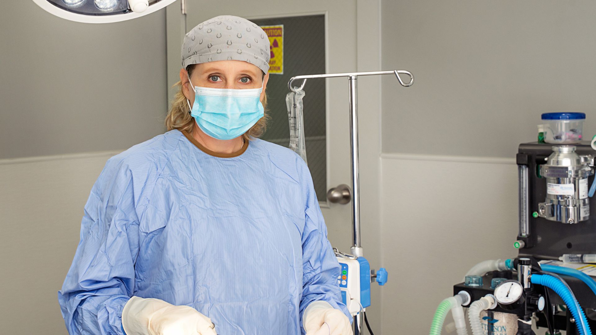 dog in cone at the vet
